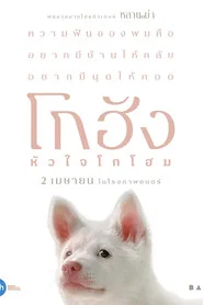 โปสเตอร์ย้อนหลัง: โกฮัง..หัวใจโกโฮม