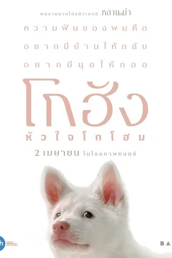 โปสเตอร์ย้อนหลัง: โกฮัง..หัวใจโกโฮม