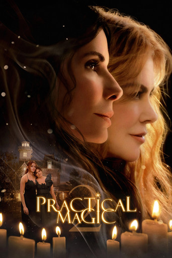 Archive poster: Practical Magic 2